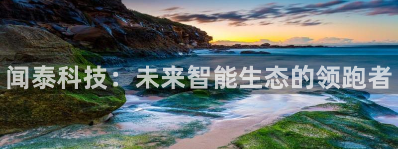 闻泰科技：未来智能生态的领跑者