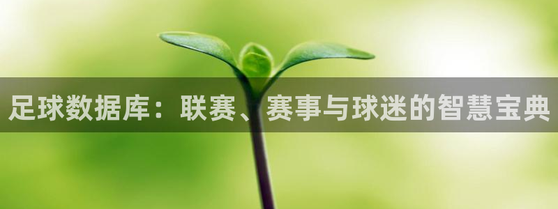 足球数据库：联赛、赛事与球迷的智慧宝典