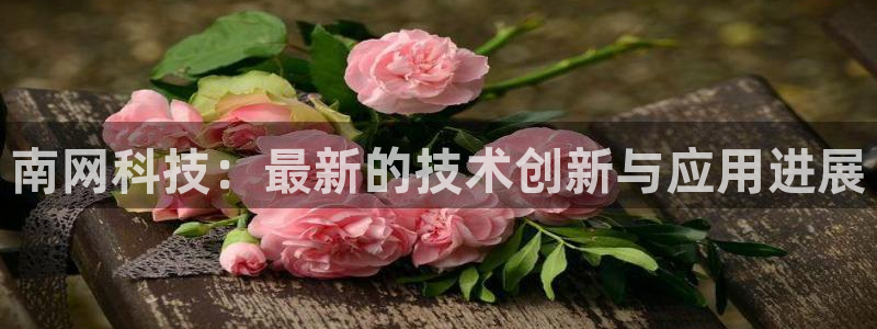 南网科技：最新的技术创新与应用进展