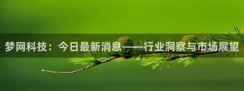 梦网科技：今日最新消息——行业洞察与市场展望